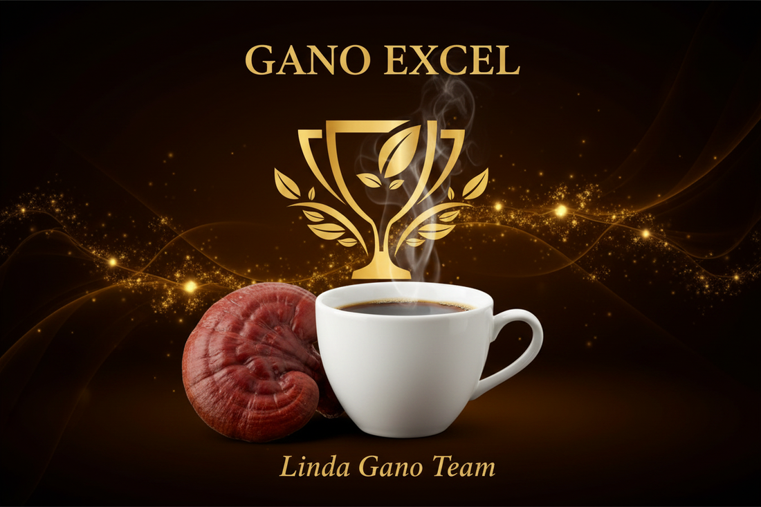 En İyi Ganoderma Kahve Markası Hangisi? 2026 Karşılaştırması