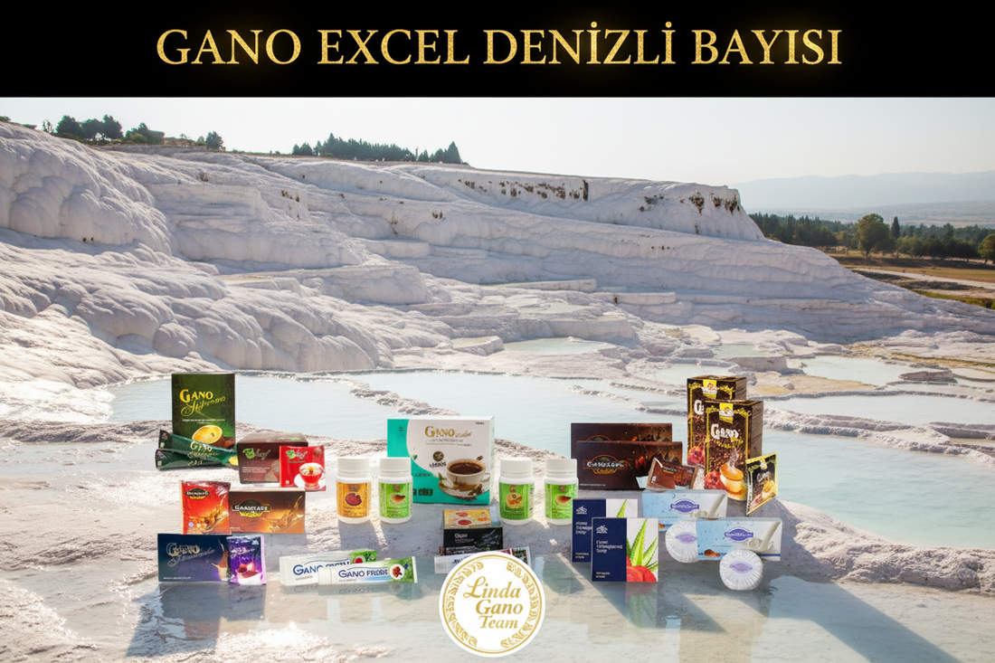 Gano Excel Denizli Bayisi