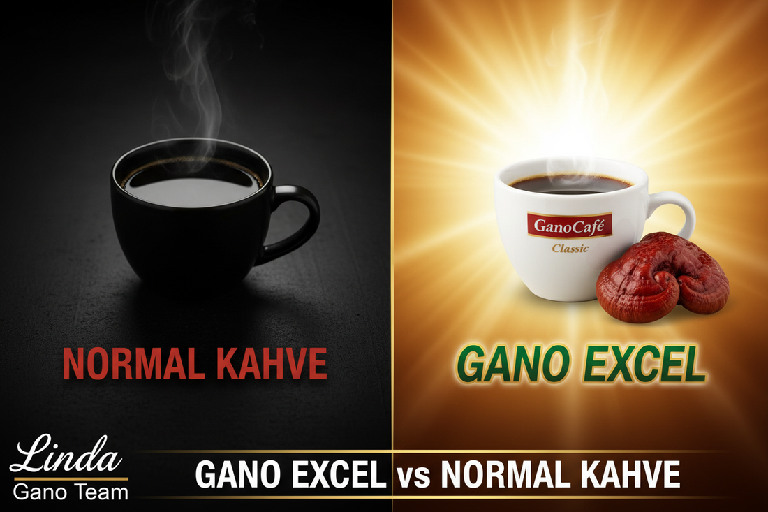 Gano Excel vs Normal Kahve | Farkı Ne?
