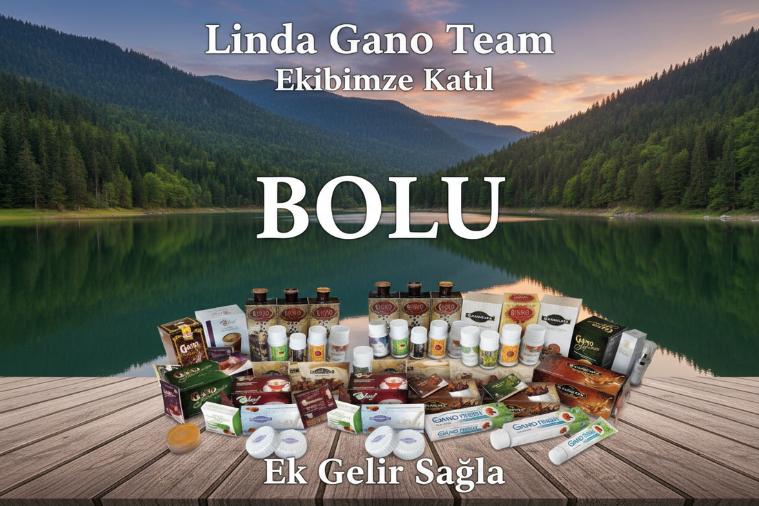 Bolu Gano Excel Ürünleri