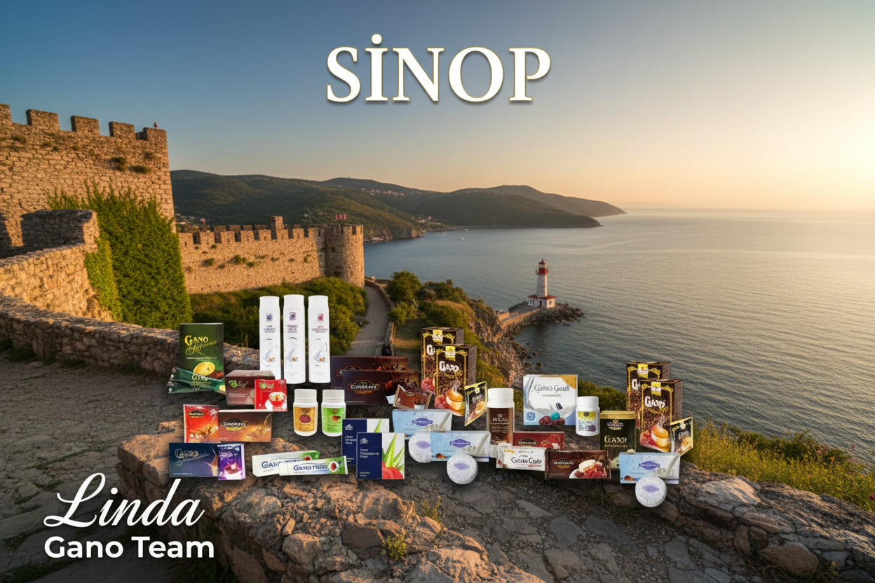 Sinop Gano Excel İletişim ve Sipariş Rehberi