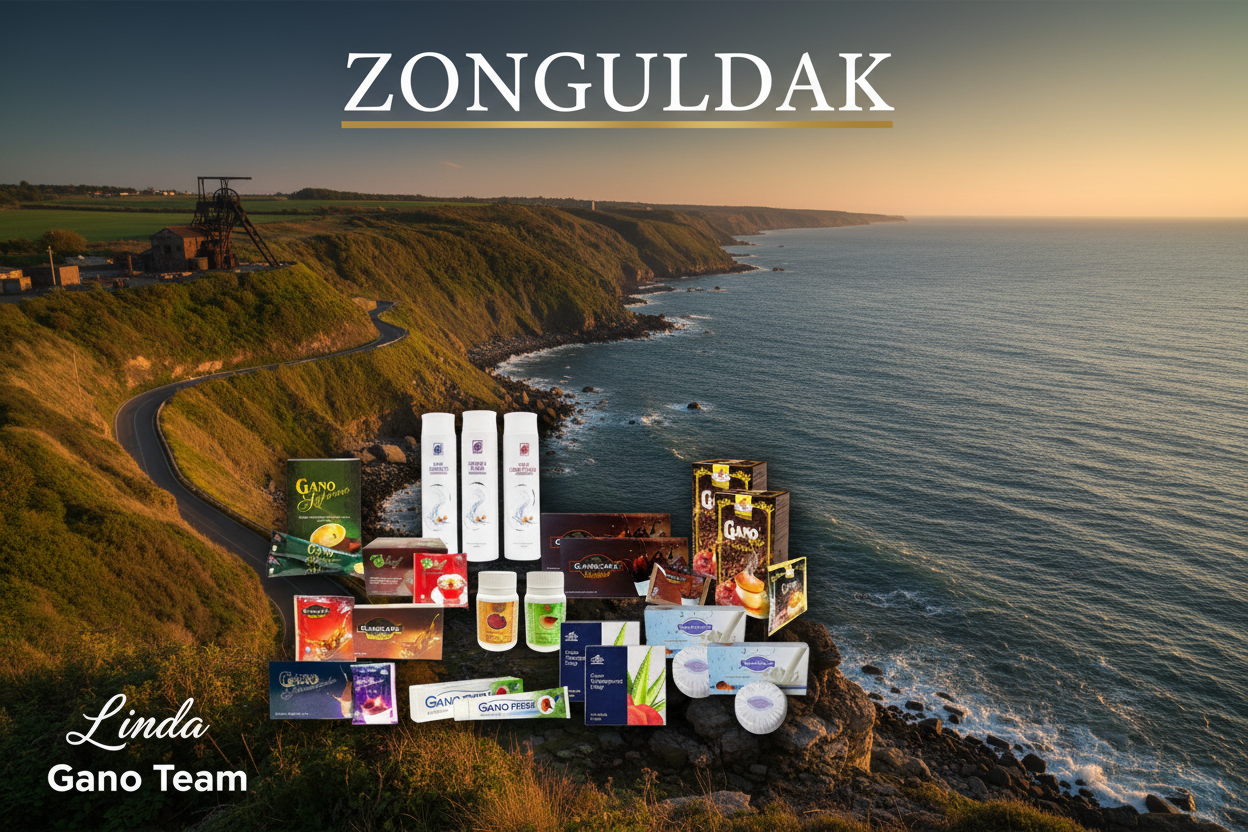 Zonguldak Gano Excel İletişim ve Sipariş Rehberi