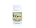 GANOCORDY 60